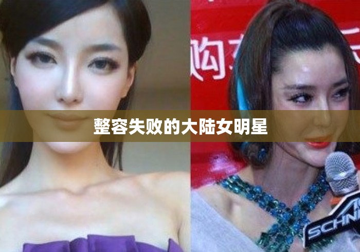 整容失败的大陆女明星 整容失败的大陆女明星
