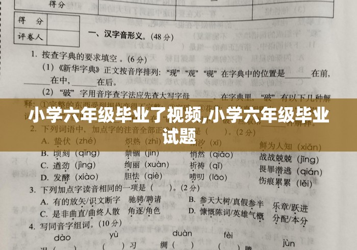 小学六年级毕业了视频,小学六年级毕业试题