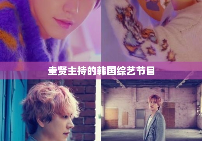 圭贤主持的韩国综艺节目，圭贤主持的韩国综艺节目全盘点