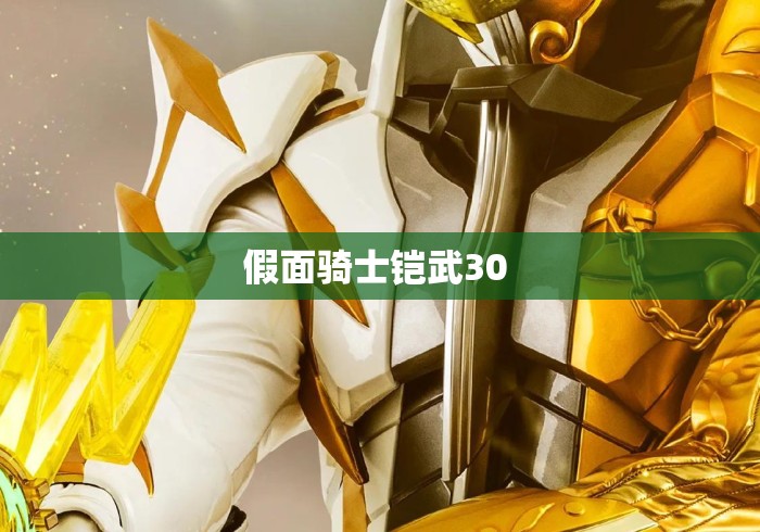 假面骑士铠武30 