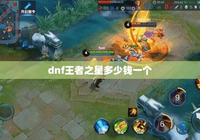 dnf王者之星多少钱一个