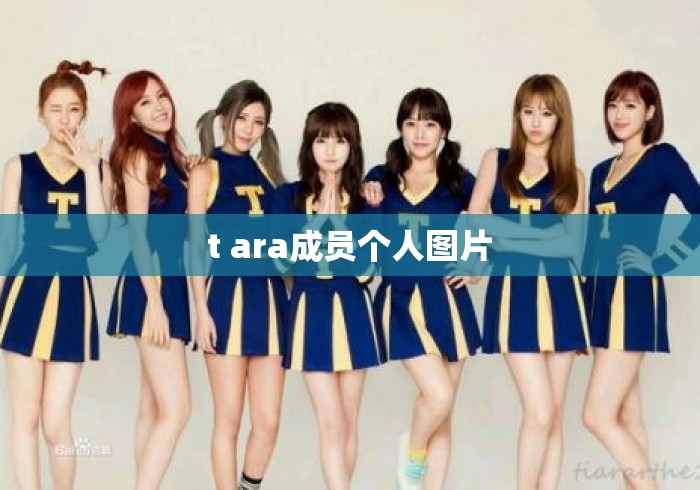 t ara成员个人图片