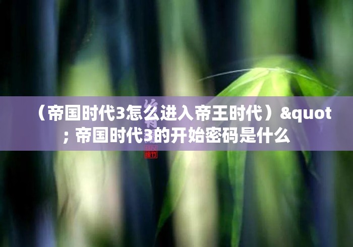 （帝国时代3怎么进入帝王时代）" 帝国时代3的开始密码是什么