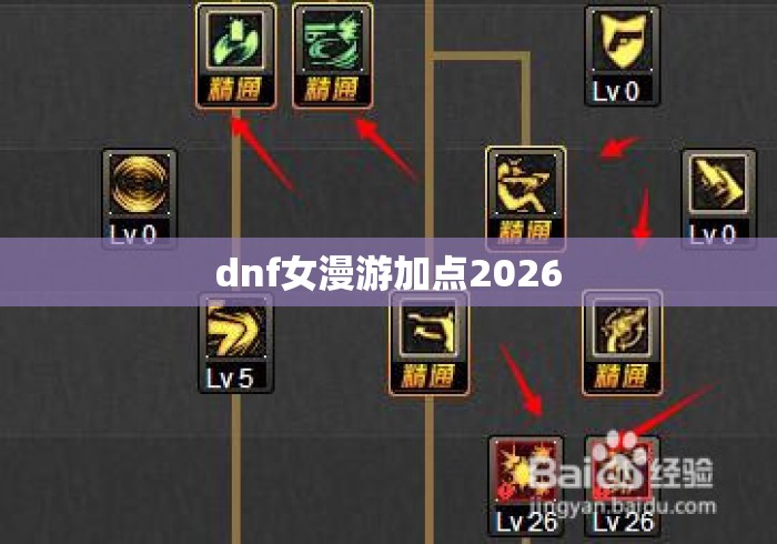 dnf女漫游加点2026 dnf女漫游加点2026