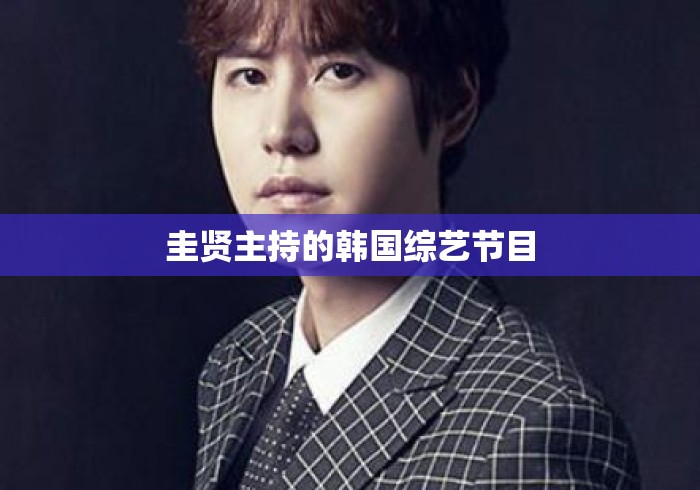 圭贤主持的韩国综艺节目 圭贤主持的韩国综艺节目