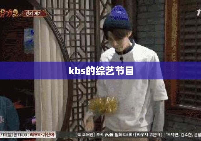 kbs的综艺节目 kbs的综艺节目