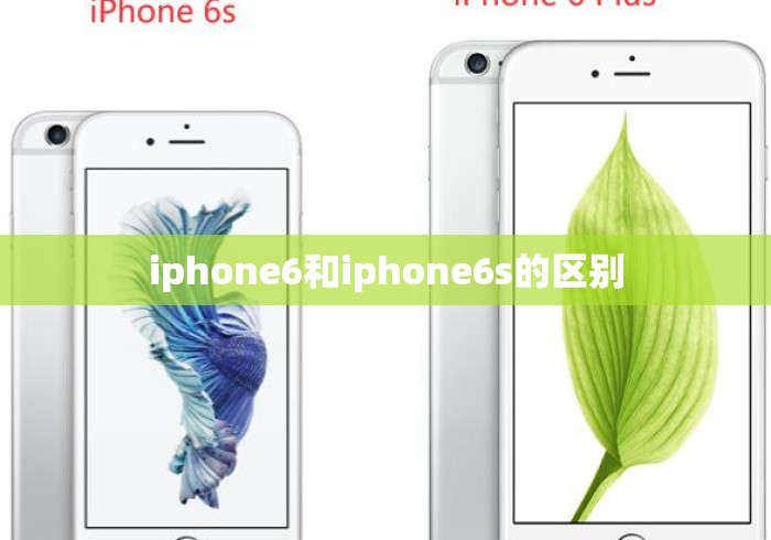 iphone6和iphone6s的区别 iphone6和iphone6s的区别