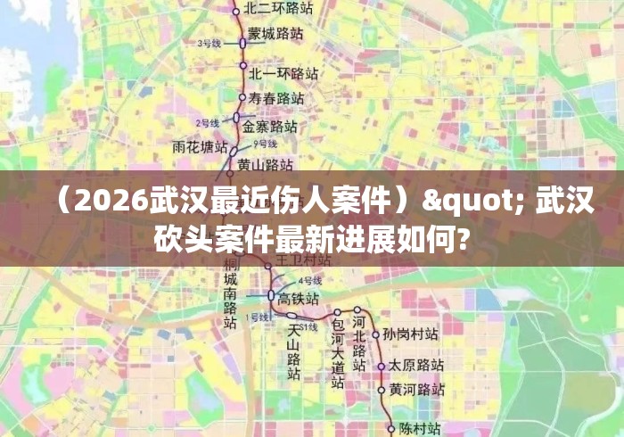 (2026武汉最近伤人案件)" 武汉砍头案件最新进展如何? (2026武汉最近伤人案件)" 武汉砍头案件最新进展如何?
