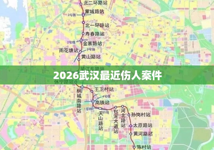 2026武汉最近伤人案件