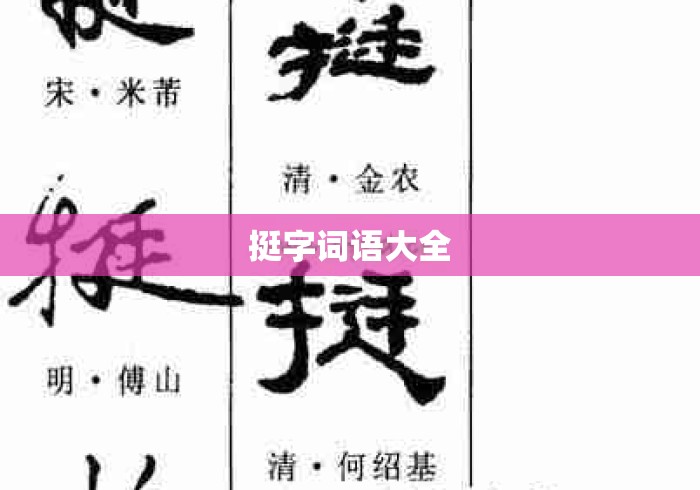 挺字词语大全