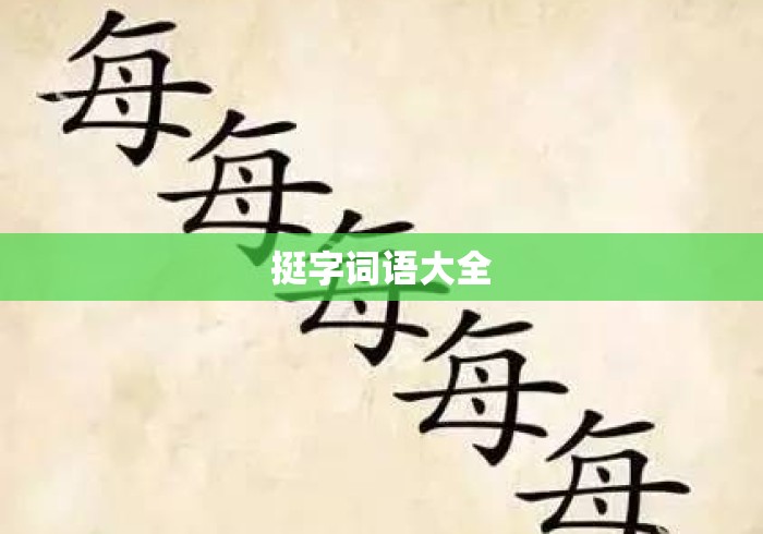 挺字词语大全