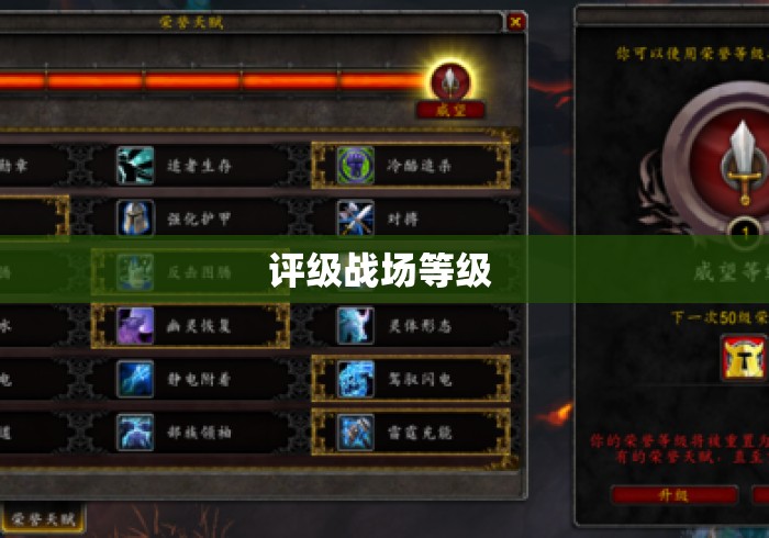 评级战场等级 