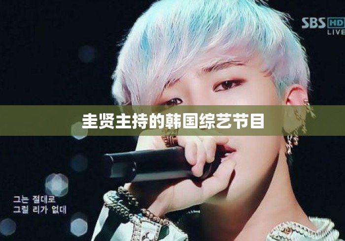 圭贤主持的韩国综艺节目 圭贤主持的韩国综艺节目