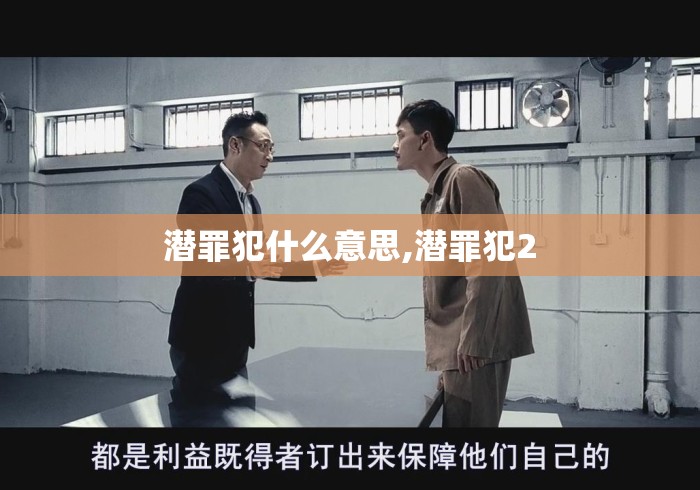 潜罪犯什么意思,潜罪犯2 潜罪犯什么意思,潜罪犯2
