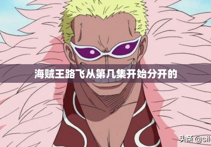 海贼王路飞从第几集开始分开的 海贼王路飞从第几集开始分开的
