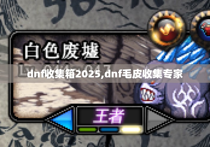 dnf收集箱2025,dnf毛皮收集专家 dnf收集箱2025,dnf毛皮收集专家