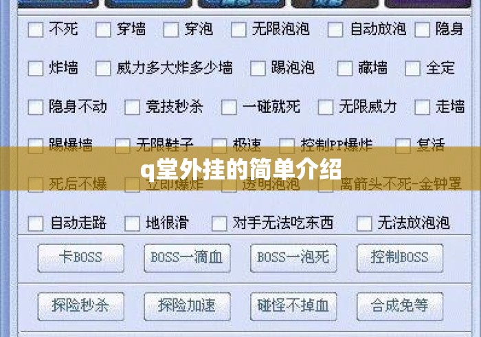 q堂外挂的简单介绍