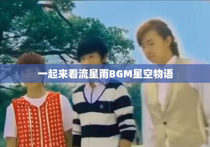 一起来看流星雨BGM星空物语 一起来看流星雨BGM星空物语