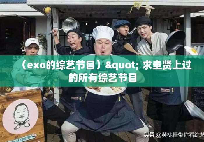 (exo的综艺节目)" 求圭贤上过的所有综艺节目 (exo的综艺节目)" 求圭贤上过的所有综艺节目