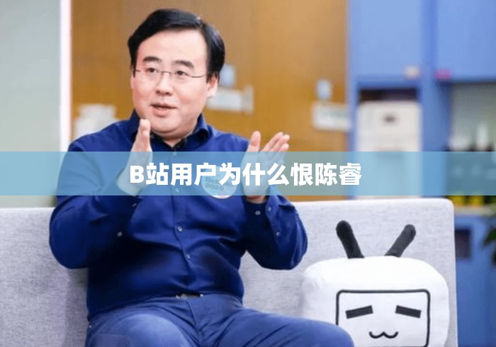 B站用户为什么恨陈睿 B站用户为什么恨陈睿
