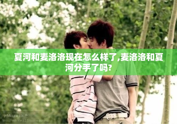 夏河和麦洛洛现在怎么样了,麦洛洛和夏河分手了吗? 夏河和麦洛洛现在怎么样了,麦洛洛和夏河分手了吗?