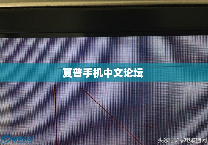夏普手机中文论坛 