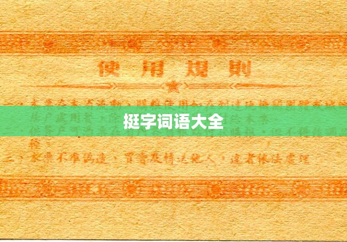 挺字词语大全 挺字词语大全