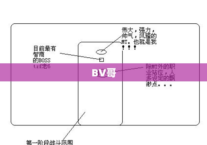 BV哥