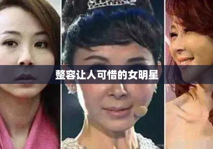整容让人可惜的女明星 整容让人可惜的女明星