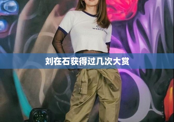 刘在石获得过几次大赏 刘在石获得过几次大赏
