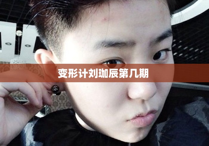 变形计刘珈辰第几期 变形计刘珈辰第几期