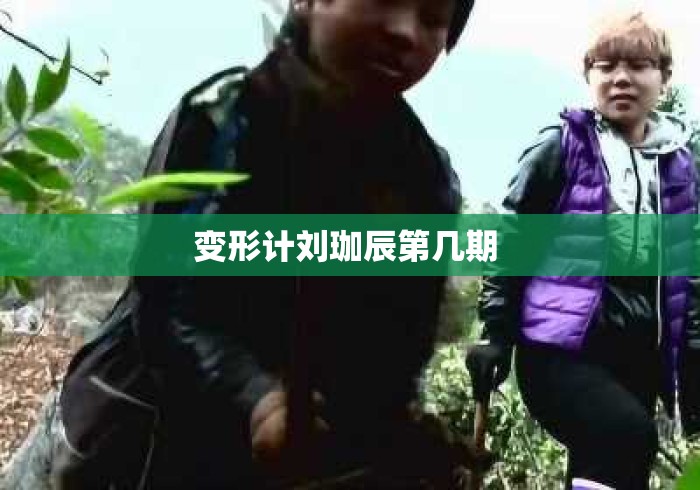 变形计刘珈辰第几期 变形计刘珈辰第几期