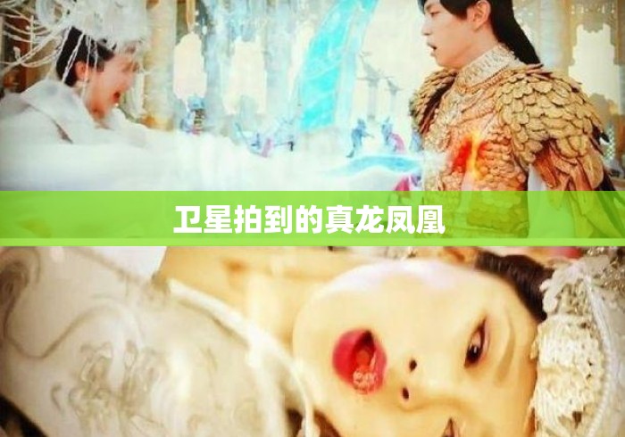 卫星拍到的真龙凤凰 卫星拍到的真龙凤凰