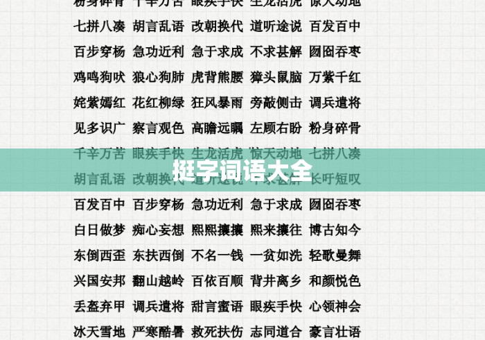 挺字词语大全