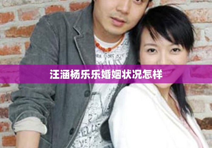 汪涵杨乐乐婚姻状况怎样