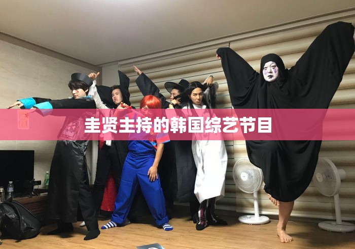 圭贤主持的韩国综艺节目 圭贤主持的韩国综艺节目