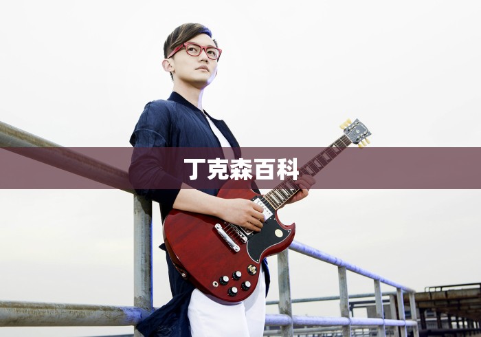 丁克森百科