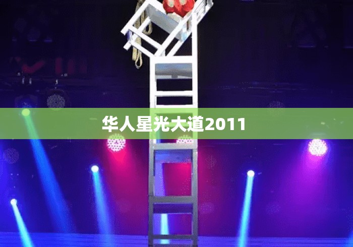 华人星光大道2011 