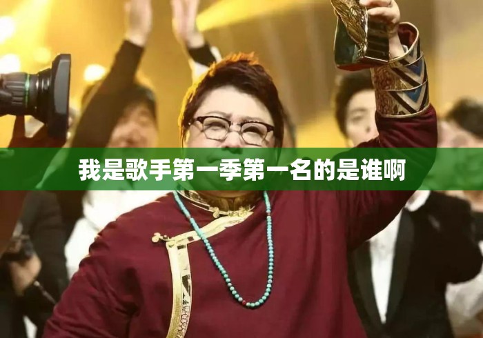 我是歌手第一季第一名的是谁啊 我是歌手第一季第一名的是谁啊