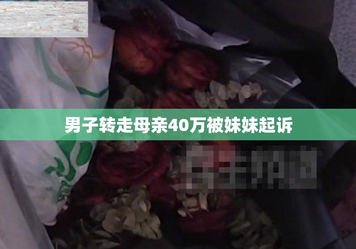 男子转走母亲40万被妹妹起诉 男子转走母亲40万被妹妹起诉