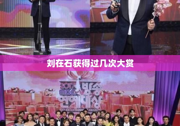 刘在石获得过几次大赏 刘在石获得过几次大赏