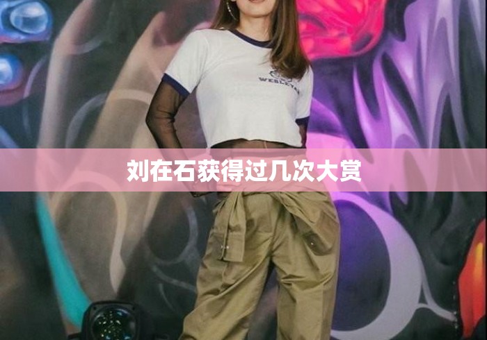 刘在石获得过几次大赏 刘在石获得过几次大赏