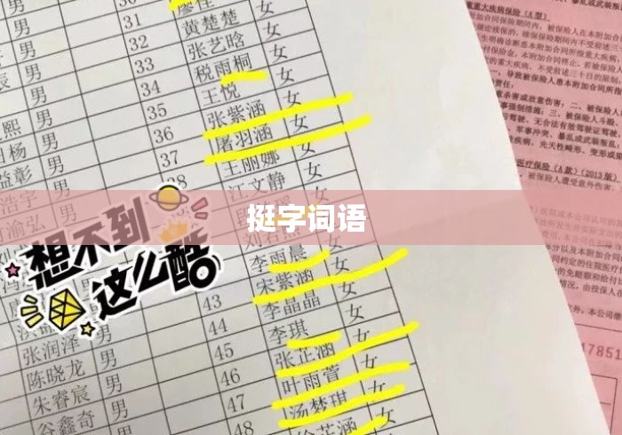 挺字词语 