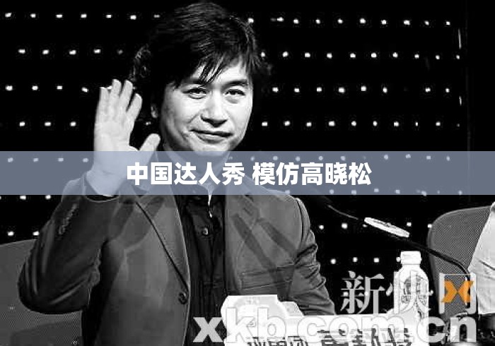 中国达人秀 模仿高晓松 中国达人秀 模仿高晓松