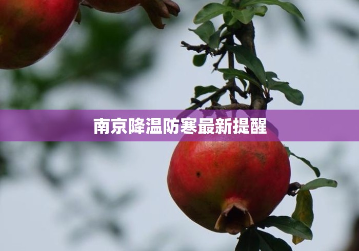 南京降温防寒最新提醒