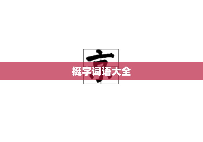 挺字词语大全
