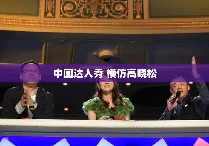 中国达人秀 模仿高晓松