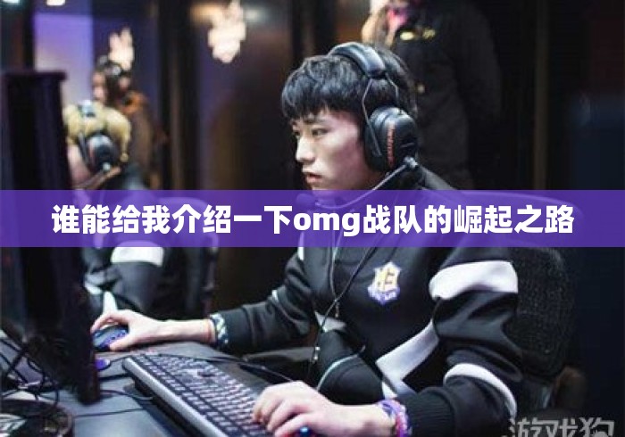 谁能给我介绍一下omg战队的崛起之路