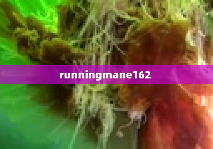 runningmane162 