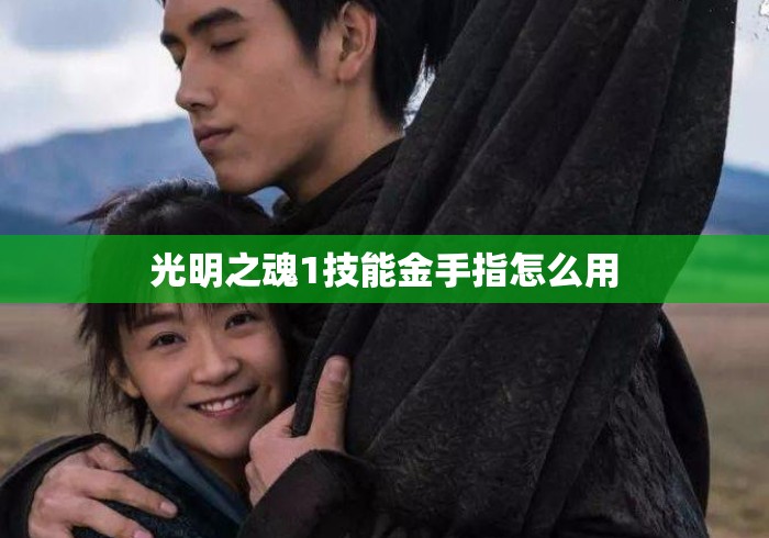 光明之魂1技能金手指怎么用
